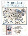 Pattern, America Map by Sue Hillis