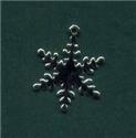 Flurries Charm